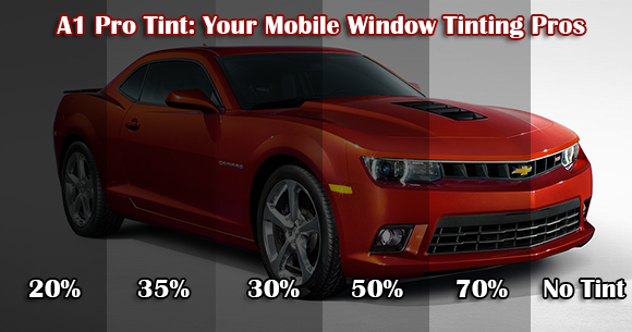 window tint percentage pa